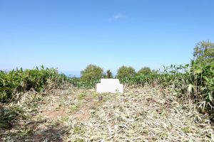 熊笹峠のトーチカ跡